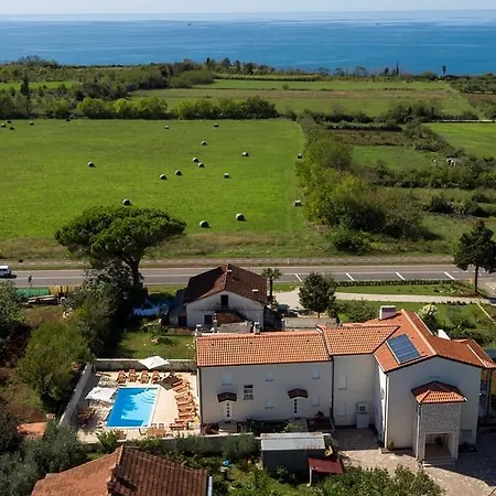 Ren * Novigrad (Istria)